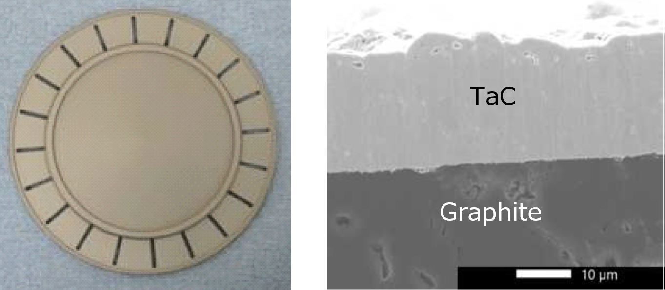 EVEREDKOTE™-C exterior and SEM cross-section image.png