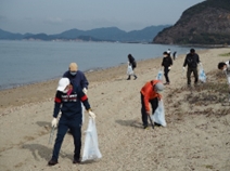 Beach cleanup project: Volunteer beach cleanup activities